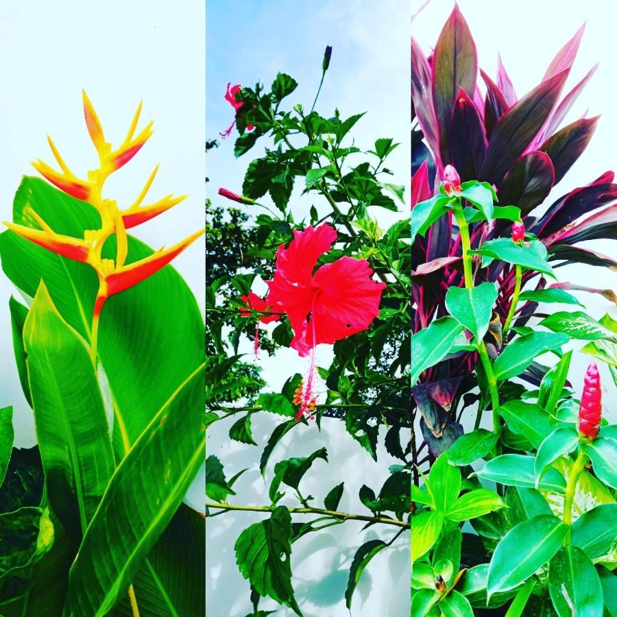 Uluwatu Bingin Pura Vida Villas מראה חיצוני תמונה